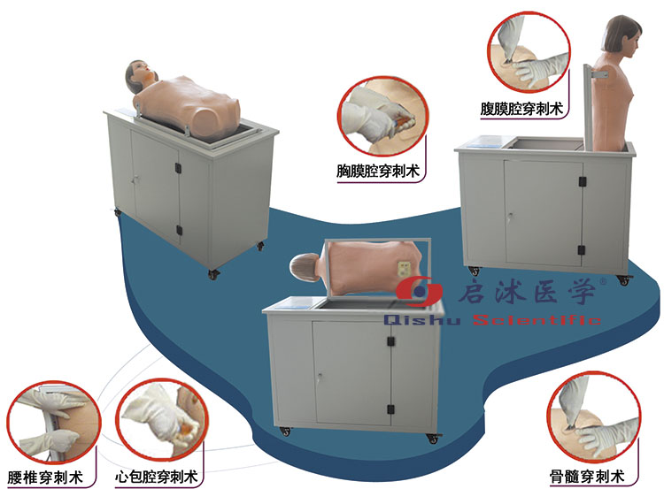 全自動(dòng)多種穿刺叩診電腦模型