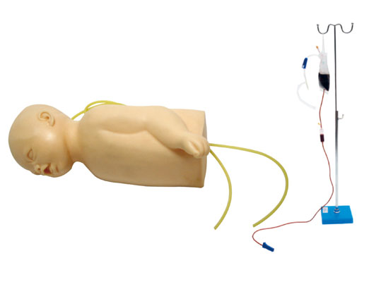 高級(jí)嬰兒頭部及手臂靜脈注射訓(xùn)練模型