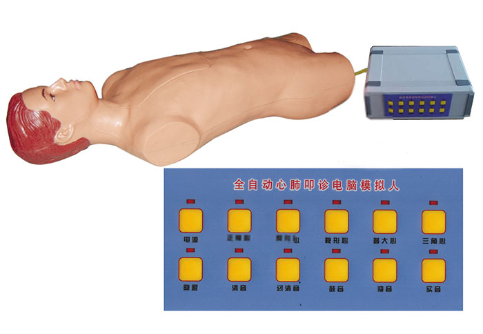 全自動(dòng)心肺叩診電腦模擬人