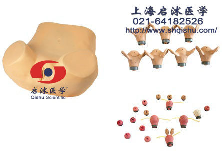 高級婦科綜合檢查訓(xùn)練模型