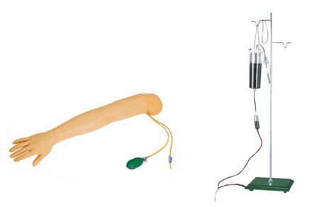 高級(jí)手臂動(dòng)脈穿刺及肌肉注射訓(xùn)練模型